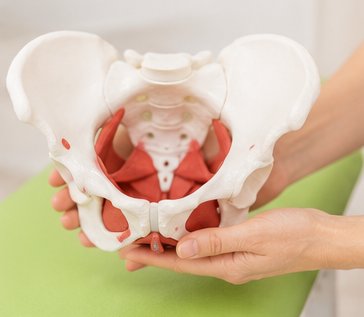 Beckenbodentherapie